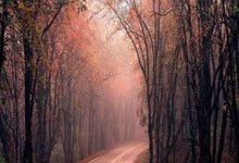 WELLBET：澳洲网球公开赛：寻求卫冕意大利好手辛纳晋级半决赛.