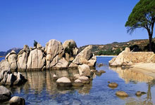 祝贺！中国轮椅网球提前锁定澳网女双冠军人民日报客户端.